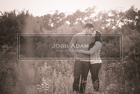 Volter and Cristina Engaged 2016-368-2