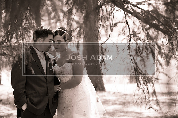 Adelia and George Wedded 2016-1609-2