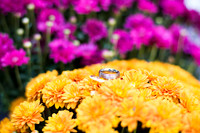 Katelin and Brad Wedded-4