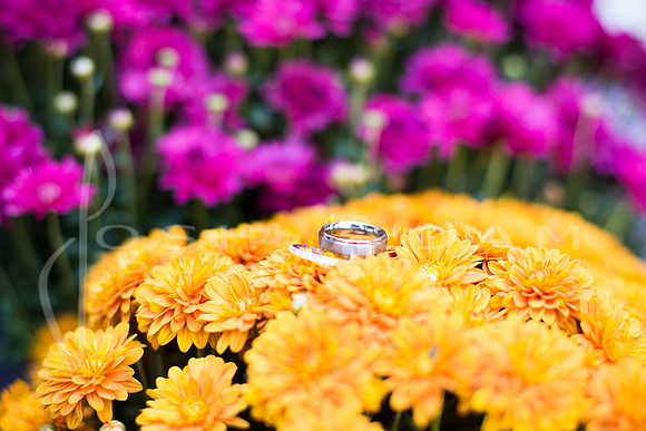 Katelin and Brad Wedded-4