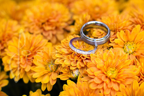 Katelin and Brad Wedded-8