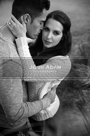 Volter and Cristina Engaged 2016-421-Edit-2