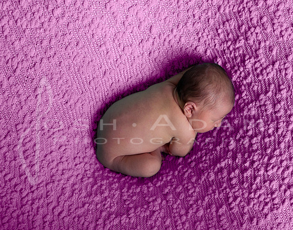 Baby Eloise_-46-Edit