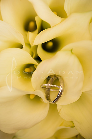Sarah and Michael Wedded-7
