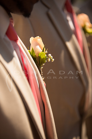 Veronika and Derek Wedded-2505