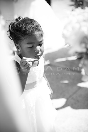 Veronika and Derek Wedded-2528-2