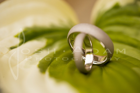 Megan and Ryan Wedded-1136