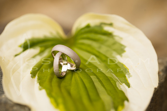 Megan and Ryan Wedded-1137