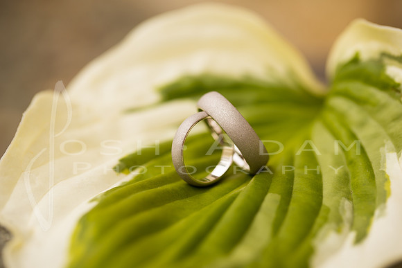 Megan and Ryan Wedded-1142