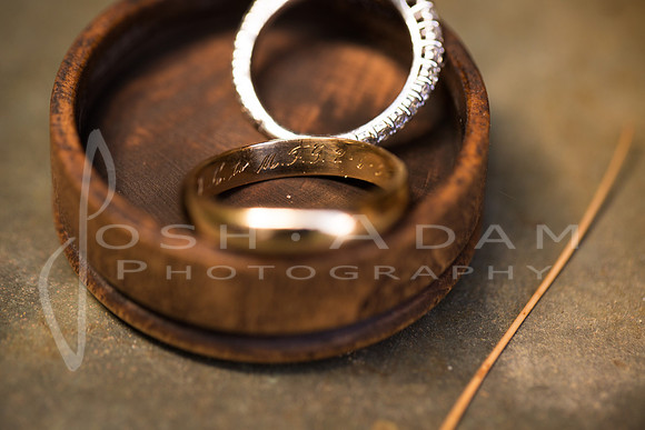 Cassandra and Josh Wedded-42