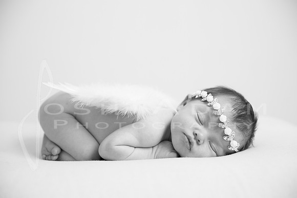 Lillian's Session-96-2