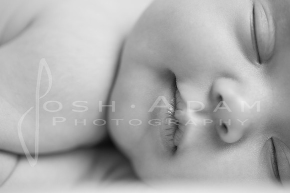 Lillian's Session-119-Edit-2