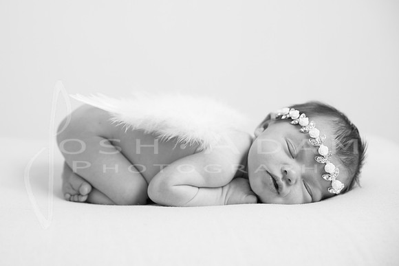 Lillian's Session-91-2