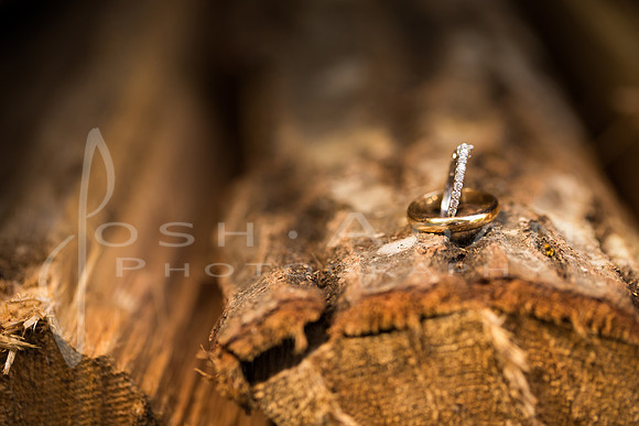 Cassandra and Josh Wedded-39