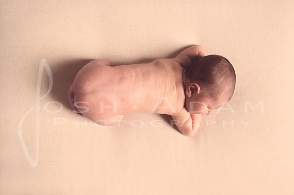 Baby Eloise_-63-Edit-Edit