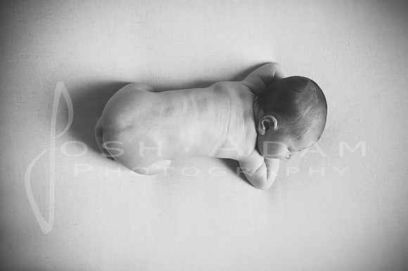 Baby Eloise_-63-Edit-Edit-2