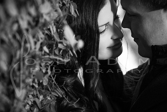 Lance and Laura Engaged-109-Edit-2