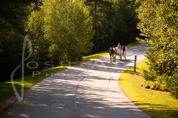 Cassandra and Josh Wedded-690