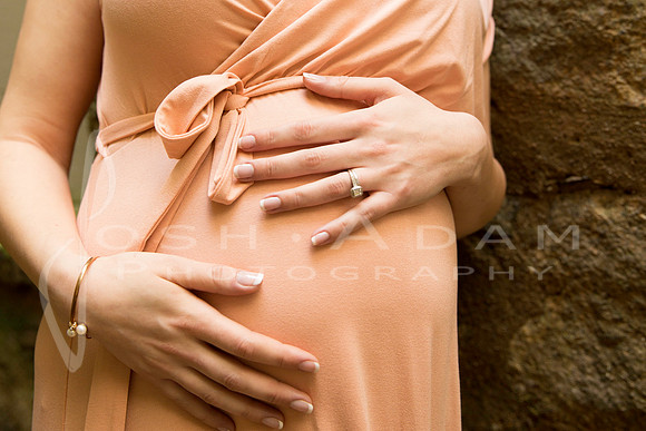 Anastasia's Maternity Session-447