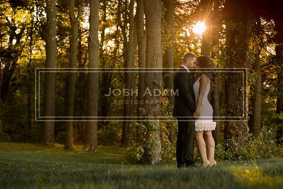 Brian and Kelly Engaged 2016-46