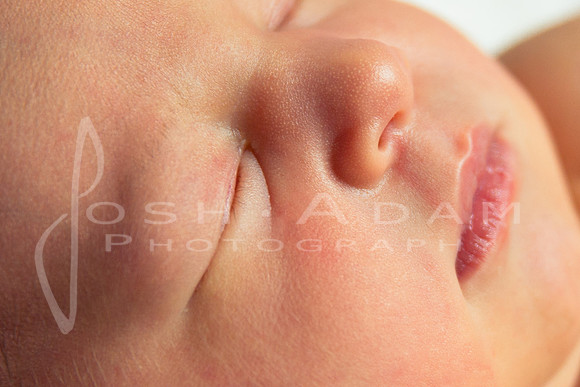 Baby Eloise_-96-Edit