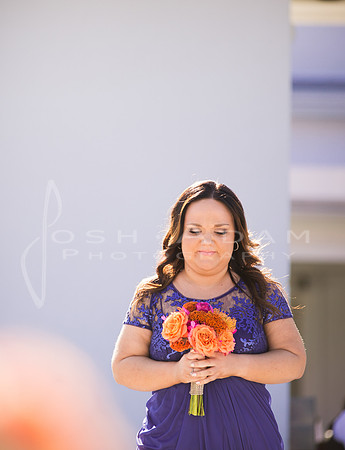 Cassandra and Josh Wedded-955