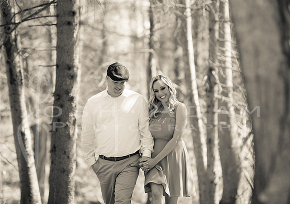Don and Anastasia Engaged140419-183