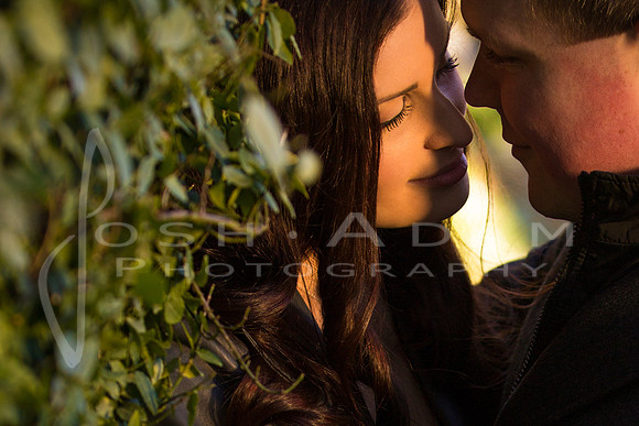 Lance and Laura Engaged-109-Edit