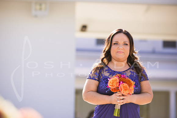 Cassandra and Josh Wedded-959