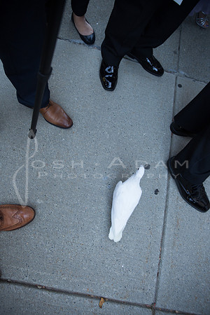 Vanessa and Kyle Wedded-1435