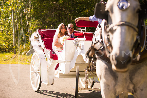 Cassandra and Josh Wedded-657