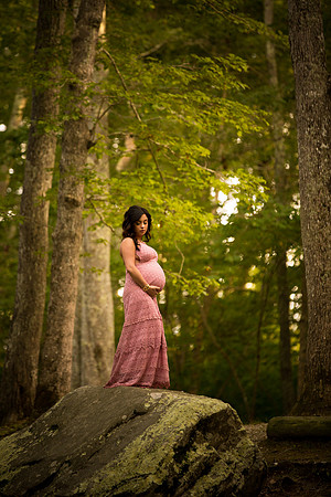 Melanie's Maternity Session-180