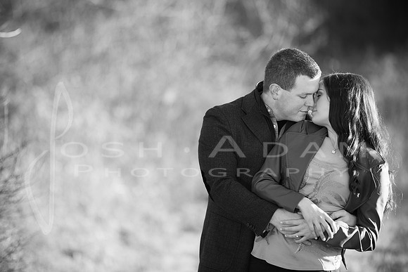 Lance and Laura Engaged-401-2
