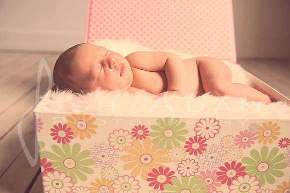 Baby Eloise_-98-Edit-Edit