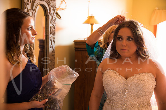 Cassandra and Josh Wedded-501