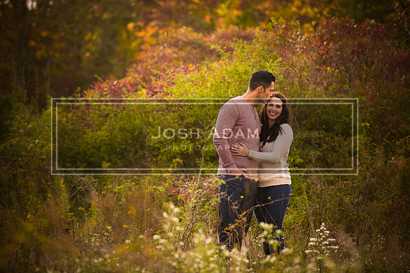 Volter and Cristina Engaged 2016-386