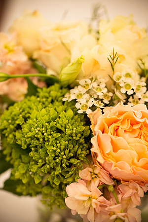 Alexandra and Mark Wedded-1505
