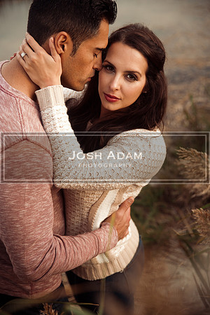 Volter and Cristina Engaged 2016-421-Edit