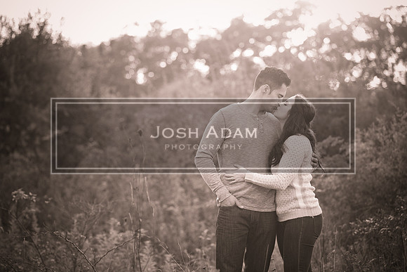 Volter and Cristina Engaged 2016-375-2
