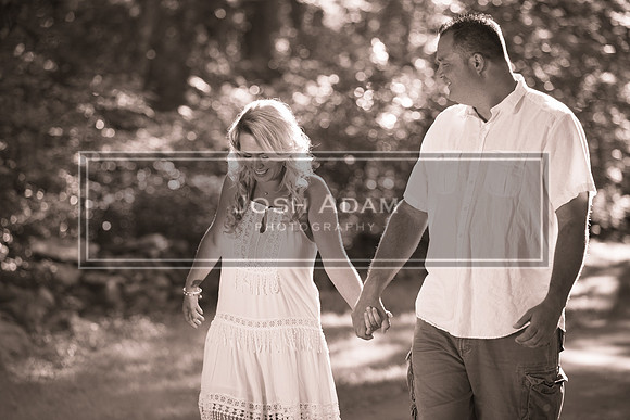 Mike and Renee Engaged 2016-93-2