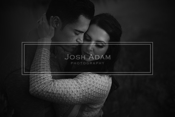 Volter and Cristina Engaged 2016-444-Edit-Edit-Edit-2
