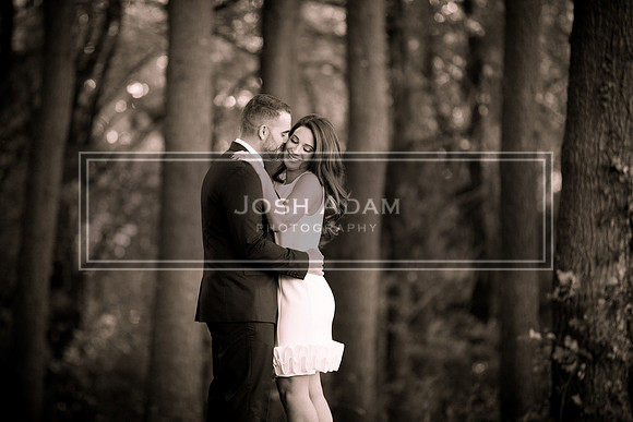 Brian and Kelly Engaged 2016-33-2