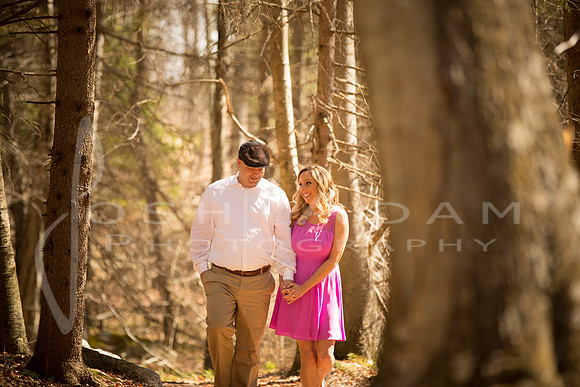 Don and Anastasia Engaged140419-172