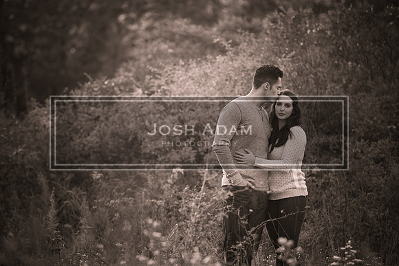Volter and Cristina Engaged 2016-390-2