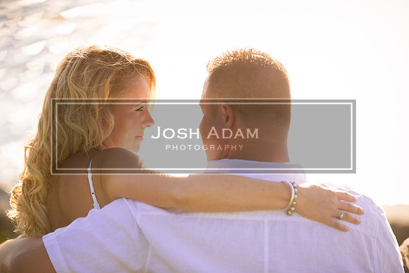 Mike and Renee Engaged 2016-264