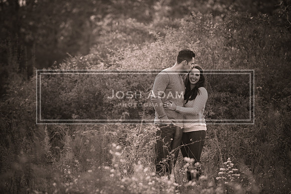 Volter and Cristina Engaged 2016-387-2