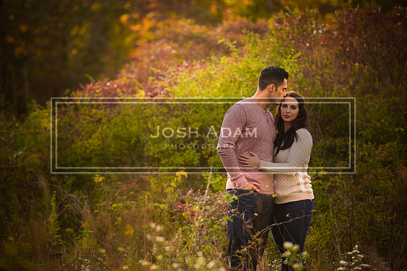 Volter and Cristina Engaged 2016-390