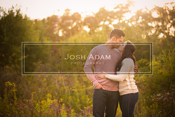 Volter and Cristina Engaged 2016-375