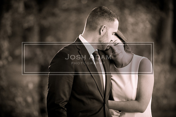 Brian and Kelly Engaged 2016-59-2