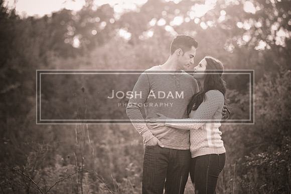 Volter and Cristina Engaged 2016-367-2